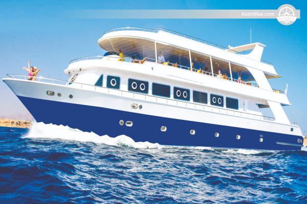 Czarter nurkowy na Morzu Czerwonym – Anemone City, rafa Yolanda i wyspa White Island z Sharm