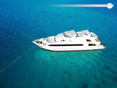 Red Sea Liveaboard Safari | Wrecks, Reefs & Kitesurf Escapes, Hurghada, Egypt