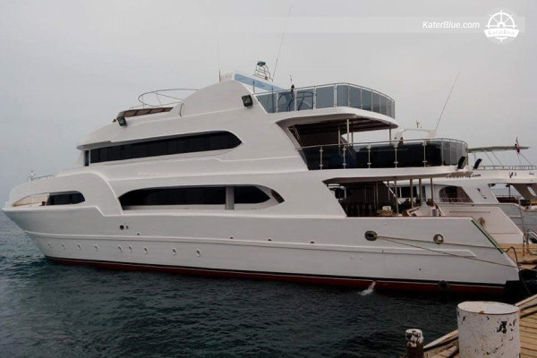 Ιδιωτική Ημέρα για Diamond Explorer Diver – Abu Ramada South & Carless Reef από το Marsa Alam με δύο έως τρεις καταδύσεις με ξεναγό, γεύμα σε μπουφέ, υποστήριξη για σκάφη τύπου tender, έως 28 άτομα