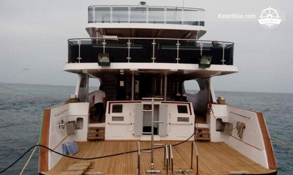 Diamond Explorer Dolphin & Lagoon Escape – Shaab El Erg Dolphin House με σεβαστικές συναντήσεις, μπάρμπεκιου στην αμμουδιά, SUP και επιδόρπια, έως 28 άτομα