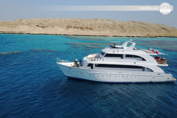 Escursione di un giorno nel profondo sud degli Stati Uniti: Rocky Island, Zabaragad e St. John's da Hurghada con Dive Pro (giornata intera, con equipaggio, snorkeling e immersioni)