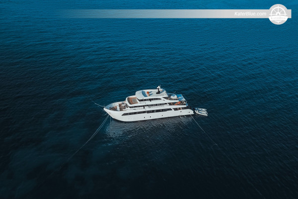 Rocky & Zabargad Expedition – 7-Night Crewed Cabin Liveaboard μέσω Fury Shoals, Sataya Lagoon, Abu Dabab & Marsa Shona από το Port Ghalib