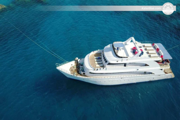 Safari nel Nord e nella Safaga | Noleggio giornaliero di lusso con immersione subacquea a cura di Dive Pro dal porto turistico di Sharm El Sheikh