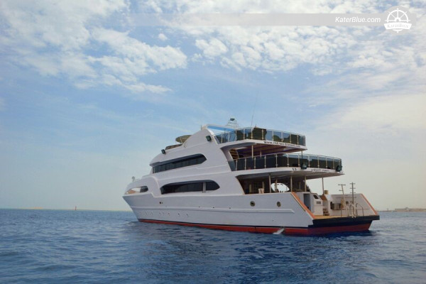 Diamond Explorer Dolphin & Lagoon Escape – Shaab El Erg Dolphin House με σεβαστικές συναντήσεις, μπάρμπεκιου στην αμμουδιά, SUP και επιδόρπια, έως 28 άτομα