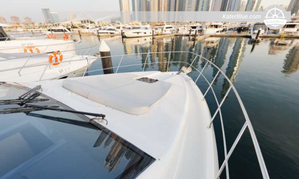 Mangrove- en wildroute – Eco-luxe charter van 8 uur vanuit de jachthaven van Abu Dhabi