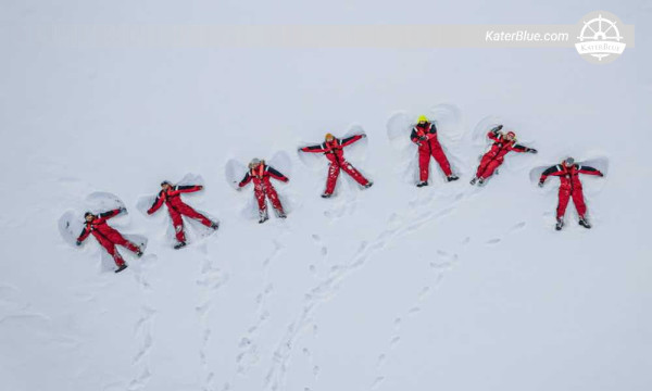 16-Day Falklands, South Georgia and Antarctic Peninsula Luxury Expedition from Ushuaia