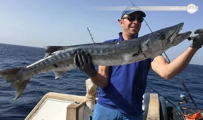 Private Full-Day Fishing, Snorkelling &amp; Dolphin-Watching Tour in Hurghada, Egypt