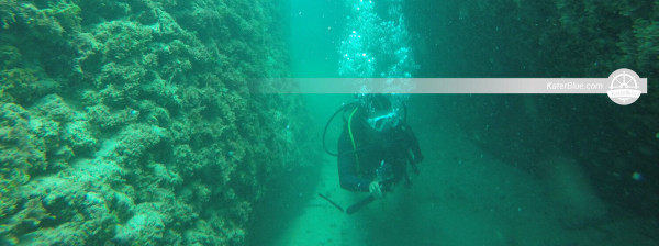 Lübnan'ın Batroun Limanı'nda Fundive Tiger 27 Su Altı Dalış Deneyimi