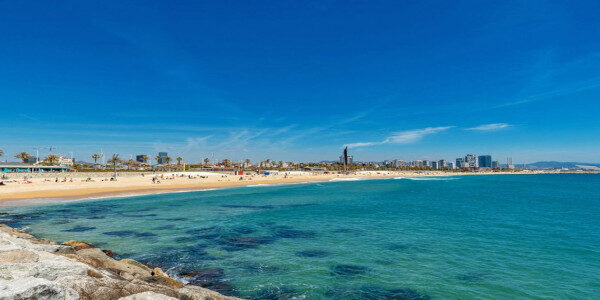 Tour di 3 ore in crociera esotica a Barcellona, ​​Spagna