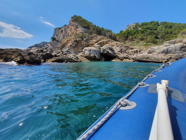 Half-day RIB Charter Gommonautica No License in Spain