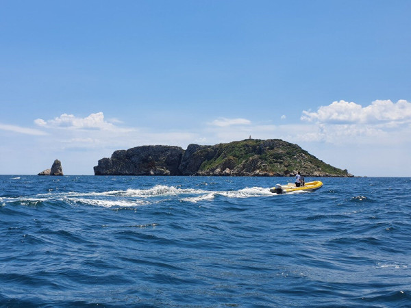 Half-day RIB Charter Gommonautica No License in Spain