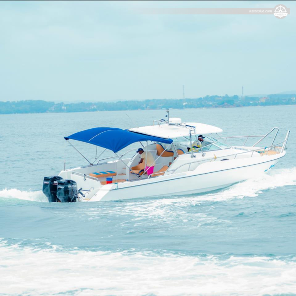 Excursión privada de lujo para avistar ballenas en Mirissa, Sri Lanka