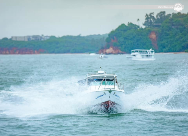 Excursión privada de lujo para avistar ballenas en Mirissa, Sri Lanka