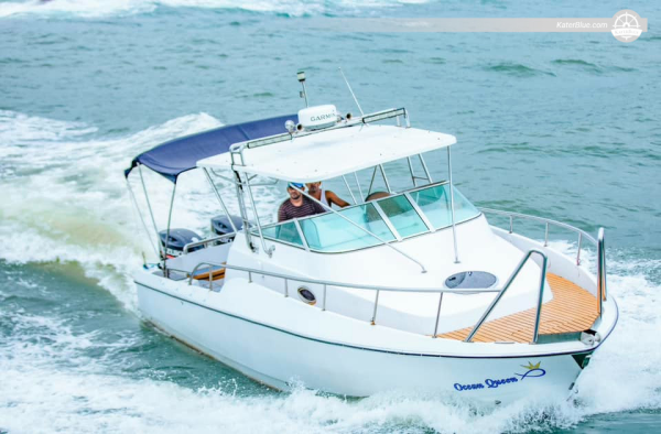 Excursión privada de lujo para avistar ballenas en Mirissa, Sri Lanka