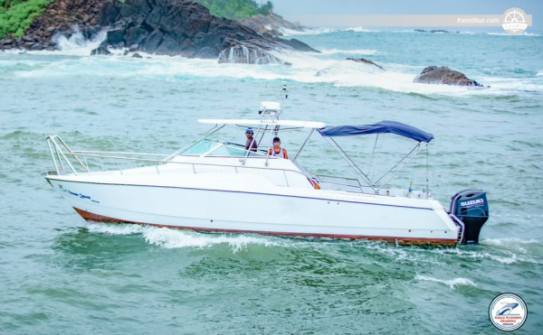 Excursión privada de lujo para avistar ballenas en Mirissa, Sri Lanka