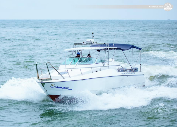 Excursión privada de lujo para avistar ballenas en Mirissa, Sri Lanka