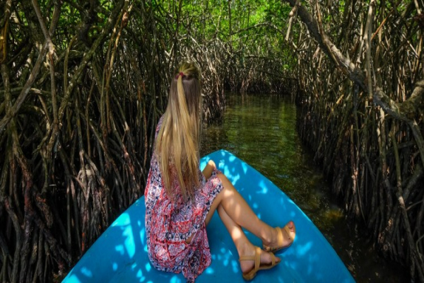 Balapitiya-Sri Lanka çevresinde harika Madu nehri safari deneyimi