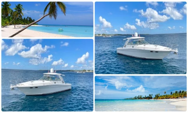 Enjoy snorkeling in Catalina, Dominican Republic